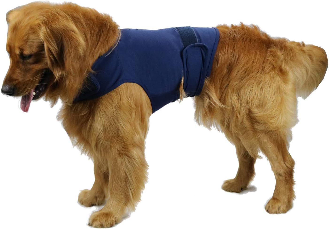Comfort vest for dogs with anxiety Clearance