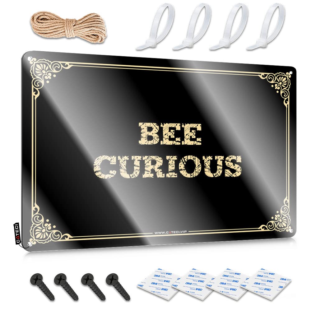 Teen Bedroom Decor Funny Sign Rustic Reusable | Bee Curious Indie Metal Wall Decor For Dressing Home(30X40CM)