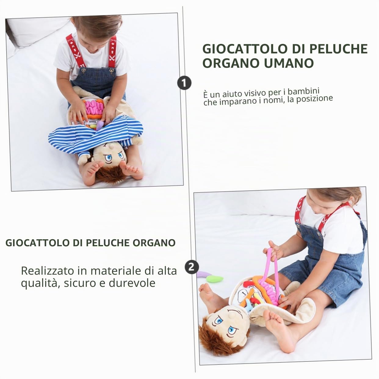 Giocattolo Educativo Organi Umani in Poliestere per Bambini