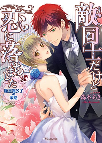 敵同士だけど恋に落ちました~腹黒貴公子の策略~ (ヴァニラ文庫)