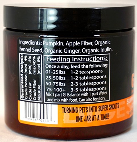 i g supplement   Mississippi 