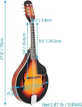 木製オーバルボディ 8弦マンドリン ケース付き Amazon | マンドリン
