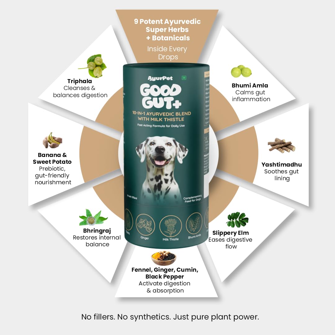 GoodGut+ Digestive Enzymes & Prebiotics for Dogs - 175ml — Amazon image 2