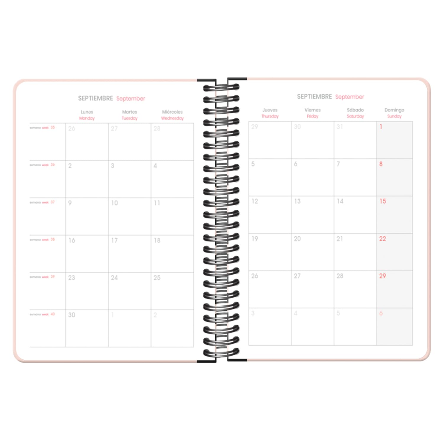 Dohe, School Diary 2024 2025, Week View, Size A5 (15 x 21 cm), Ring Closure and Rubber, Spanish and English, 4 Sticker Pages - Image 4