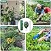Maxsolve 2 Pack Soil Tester, 3-in-1 Plant Moisture Meter Light and PH Tester Garden Lawn Farm, Indoor and Outdoor Use, Soil Test Kit Acidity Water
