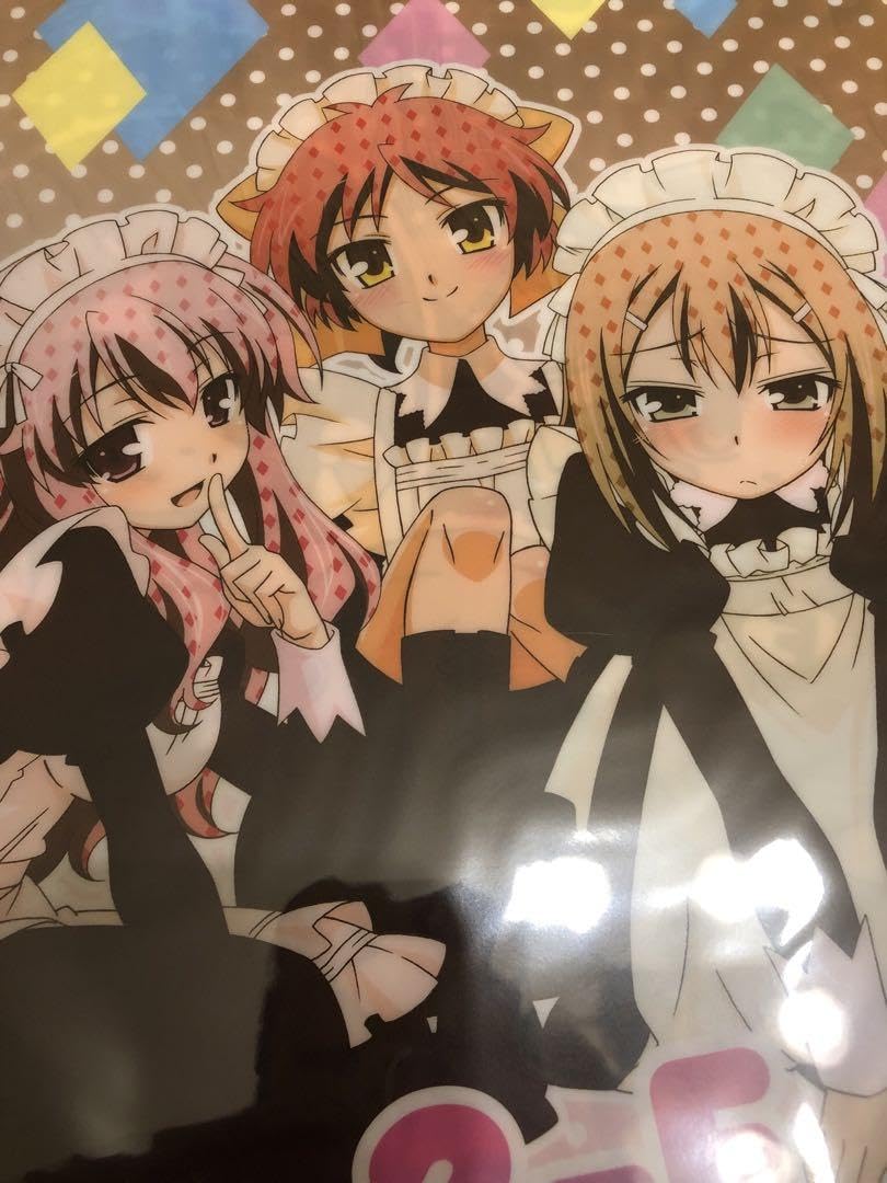 Chaos バカとテストと召喚獣　バカテス　メイド服の木下秀吉　箔押しサイン入り Amazon.co.jp: バカとテストと召喚獣 メイド服 木下秀吉 A4 クリア