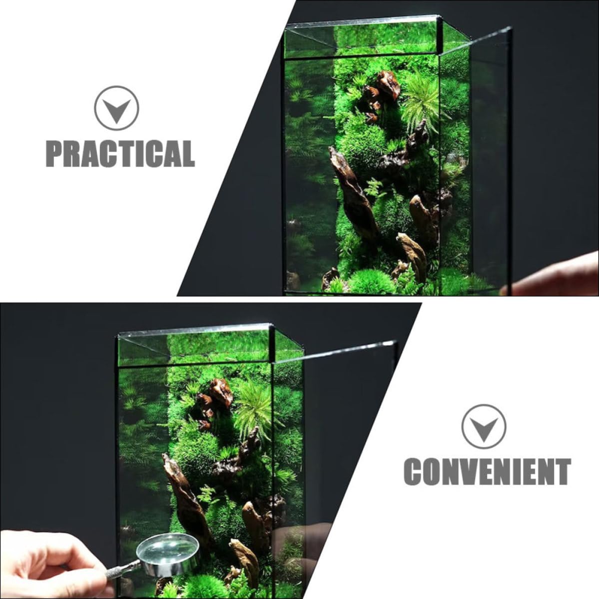 Glas Terrarium aus Glas und Zinn Stabiles Mikro Landschafts Pflanzgefäß für Tischdekoration Kreative Kleine Glasvase für Wohnzimmer und Büro