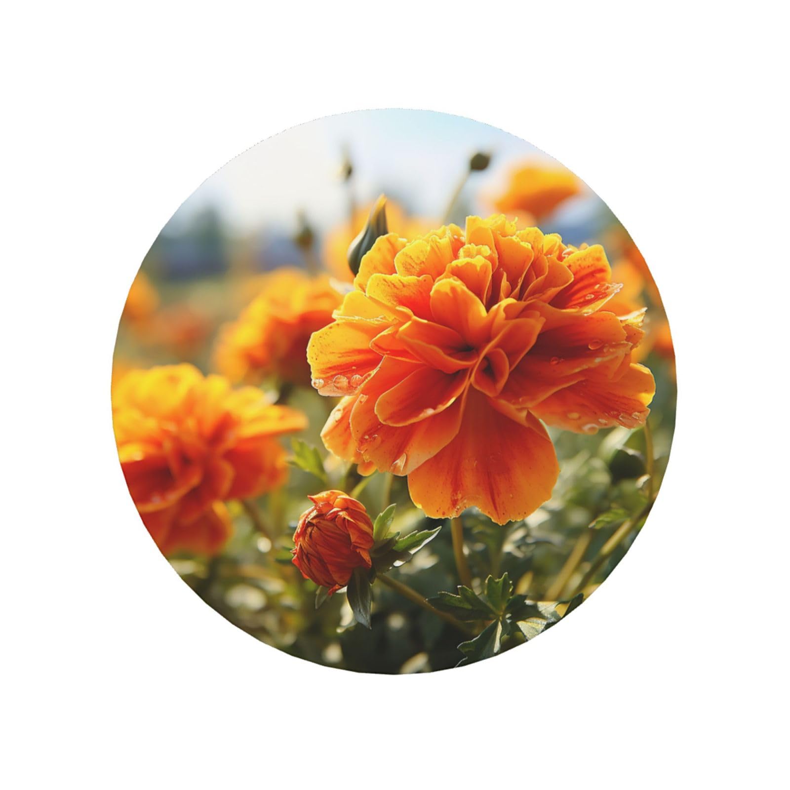 Fodpand Round Shape Marigold Flower Autumn Flowers Fridge Magnets, Strong Small Refrigerator Magnets Decorative Magnets For Kitchen Fridge Office Locker - Funny Magnetic Stickers Birthday Gifts