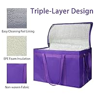 Vista 214 de Bodaon Paquete de 1 bolsas de compras reutilizables aisladas, bolsa enfriadora de picnic XL con cremallera superior para frío, bolsa aislada