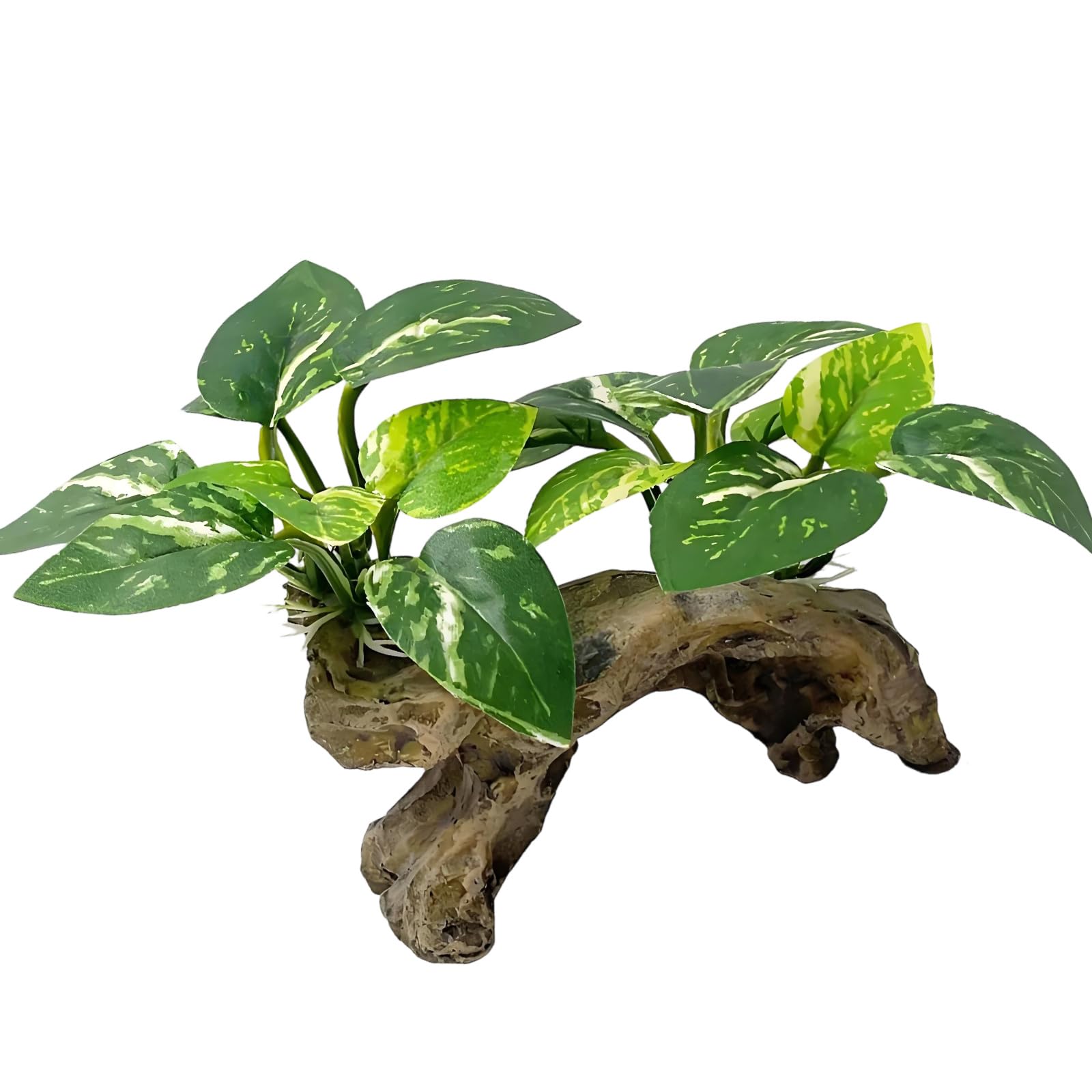 Aquarium Plant Ornament for Small Habitats, 6in Terrarium Decor with Green Foliage, Driftwood Resin Base and Layered Display Accent Habitat Greenery Ornament Driftwood Base Fish Shelter Small