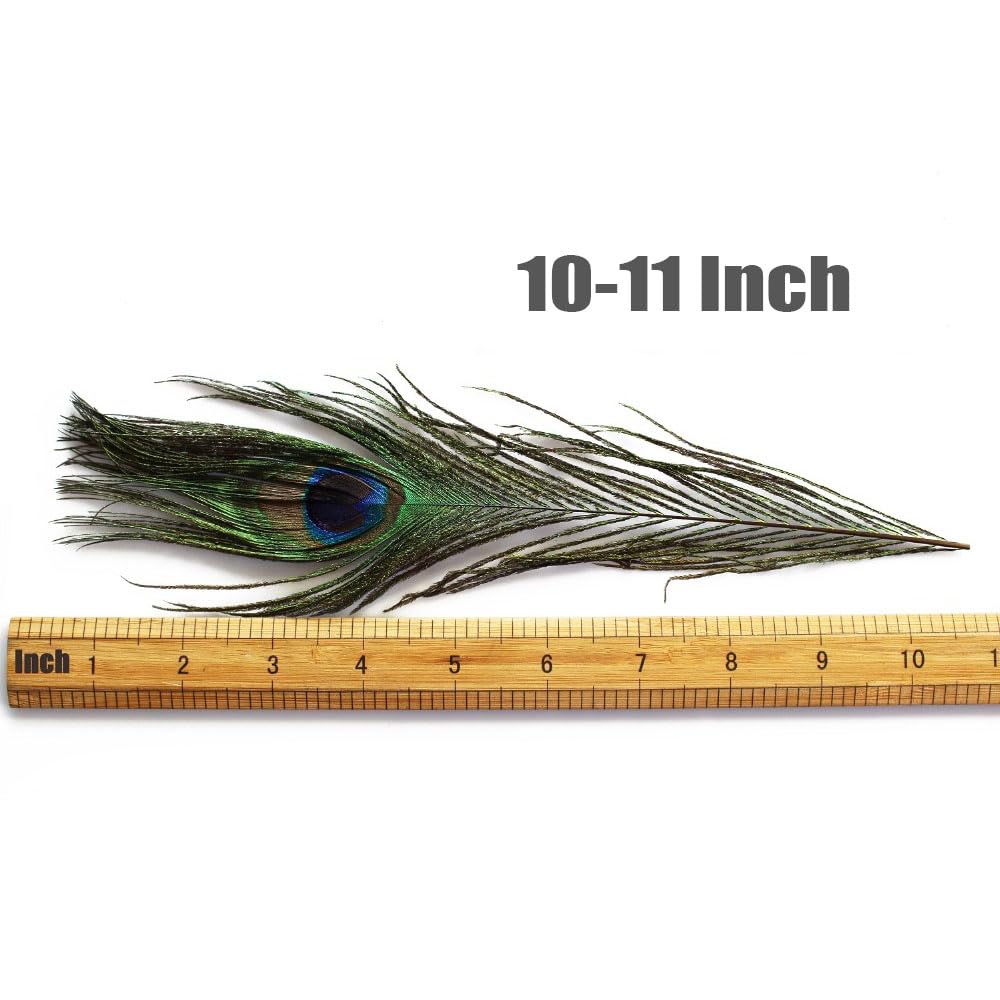 Tigofly Ensemble de plumes de paon pour nymphes mouches, mouches humides classiques