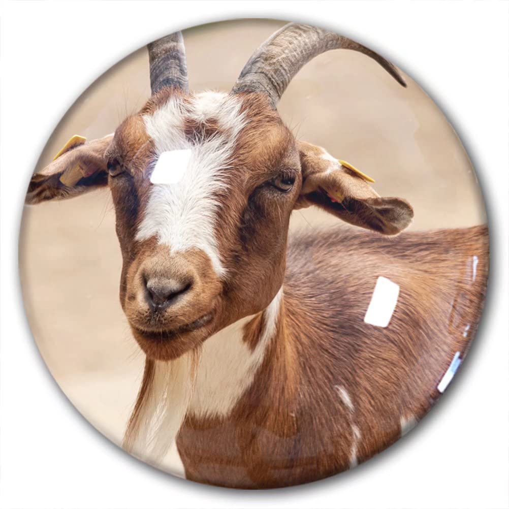 Lywallca Goat-5931 Goat Fridge Magnet Refrigerator Stickers Decorative Magnet Travel Souvenir Crystal Glass