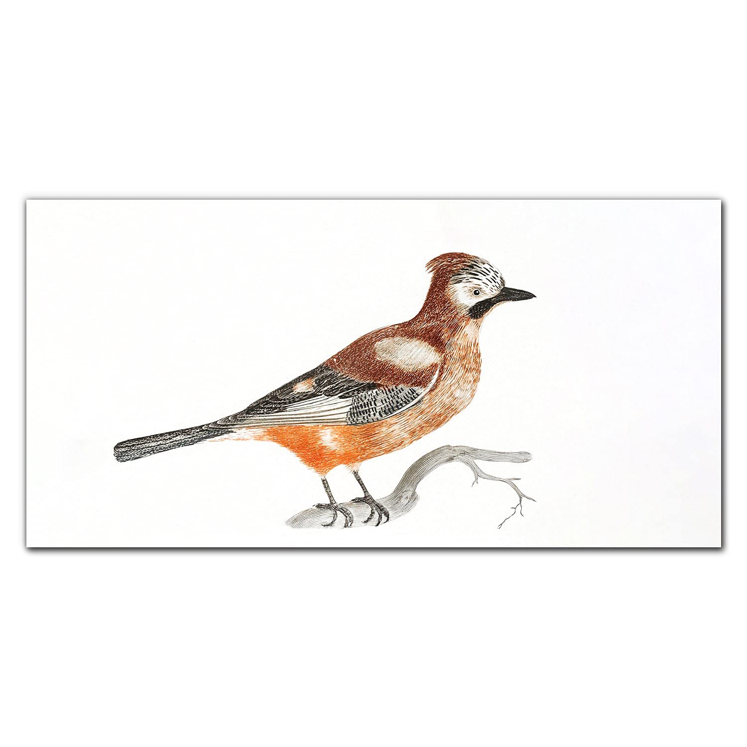Crédence de cuisine en verre trempé 100x50cm protection murale branche d'oiseaux