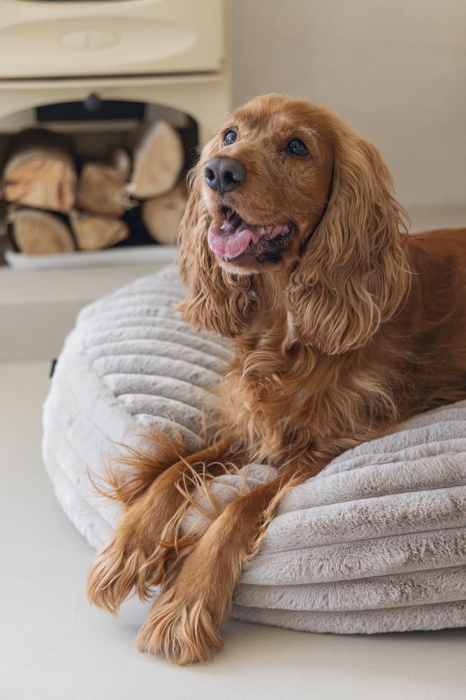 Designed by Lotte Reza, Hundekissen, Rund, Beige, 80x80x20 cm