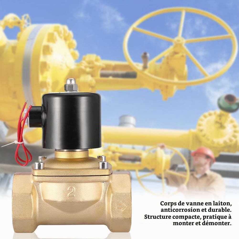 Electrovanne NC, 220VAC DN50 Laiton 2 pouces 2 voies 2 voies, type normalement fermé Electrovanne électrique Sensitive Valve magnétique solénoïde à action directe,