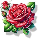 LaoGraphics
