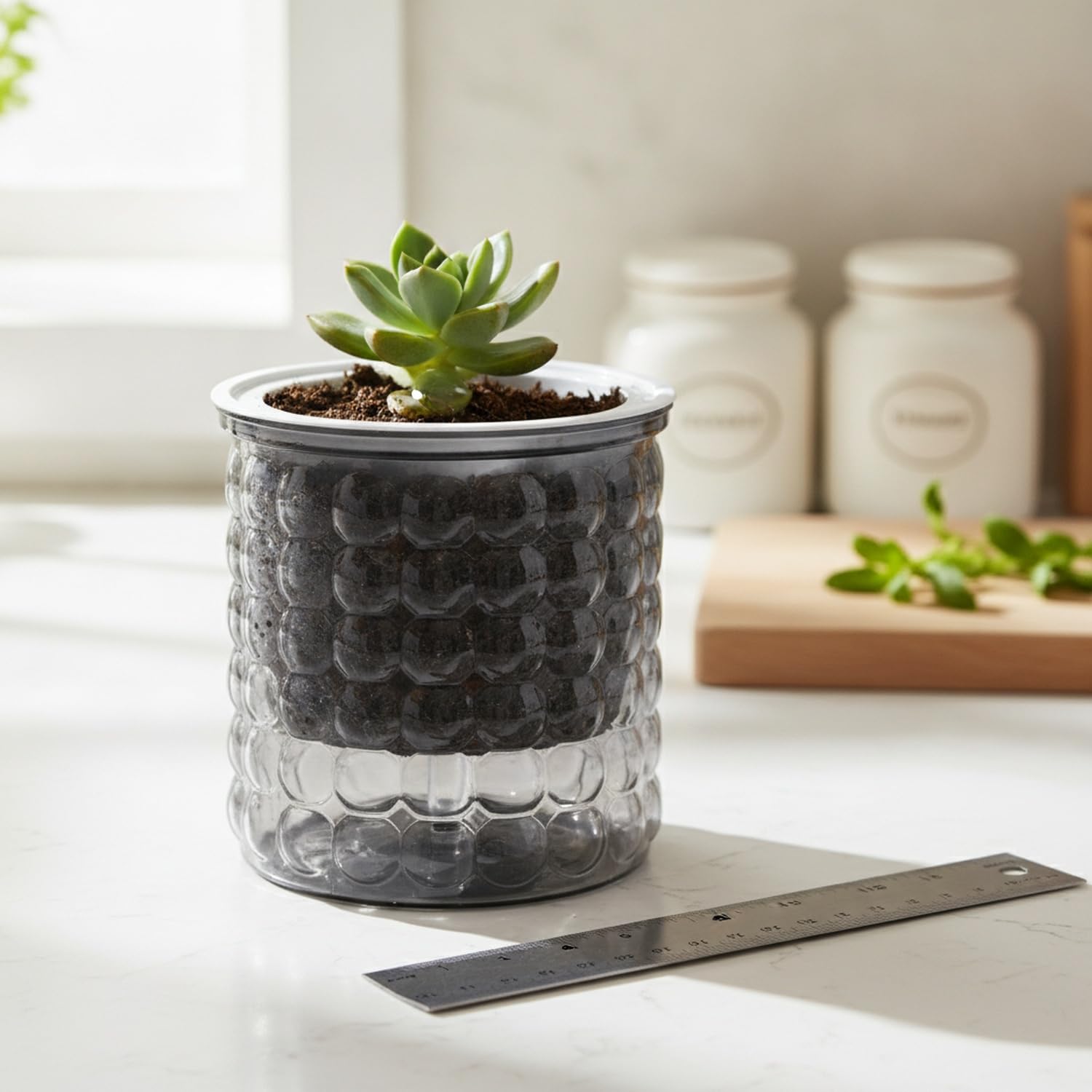 Vaso Autoirrigante