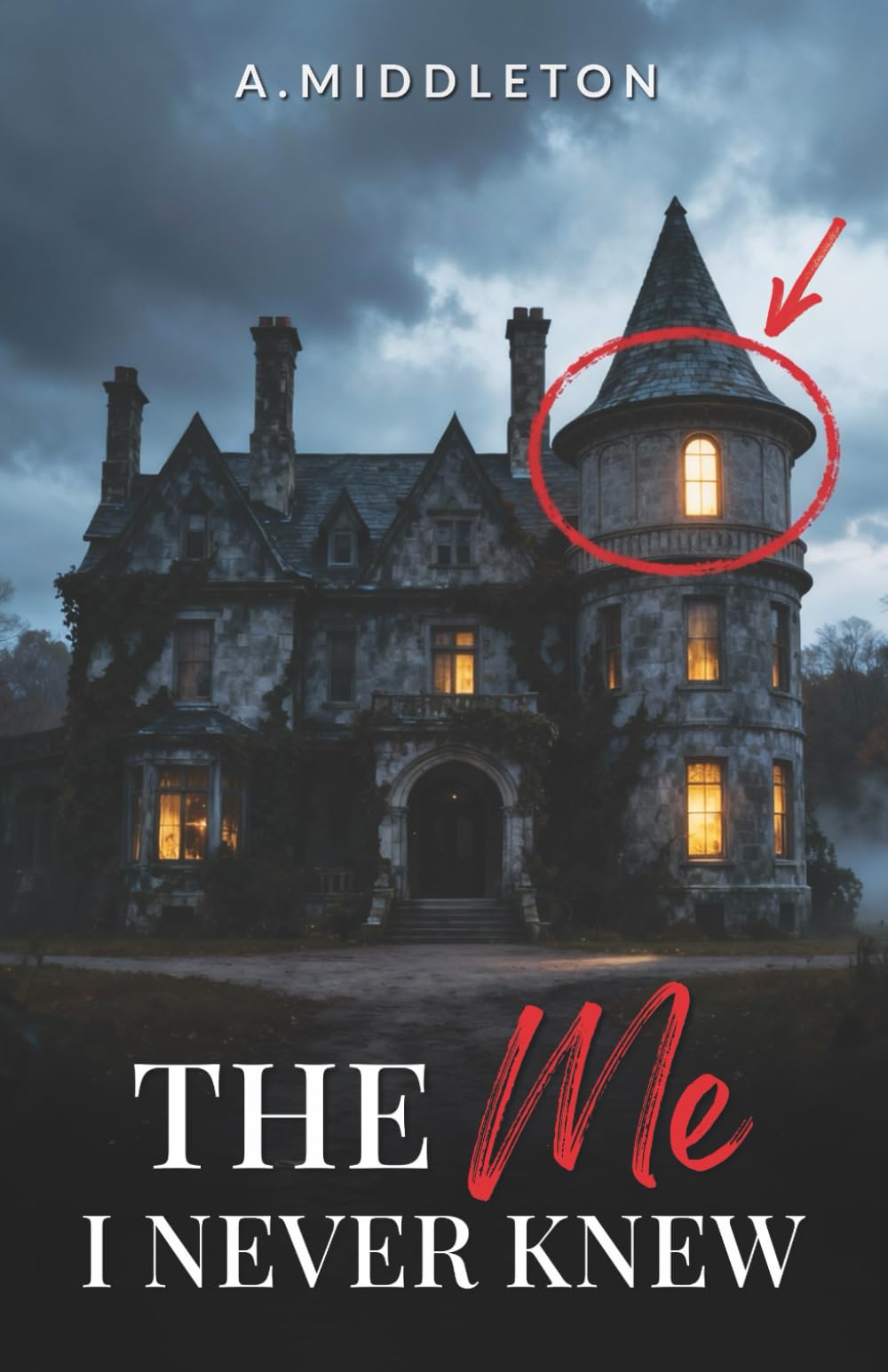 The Me I Never Knew (The Me I Never Knew Series)