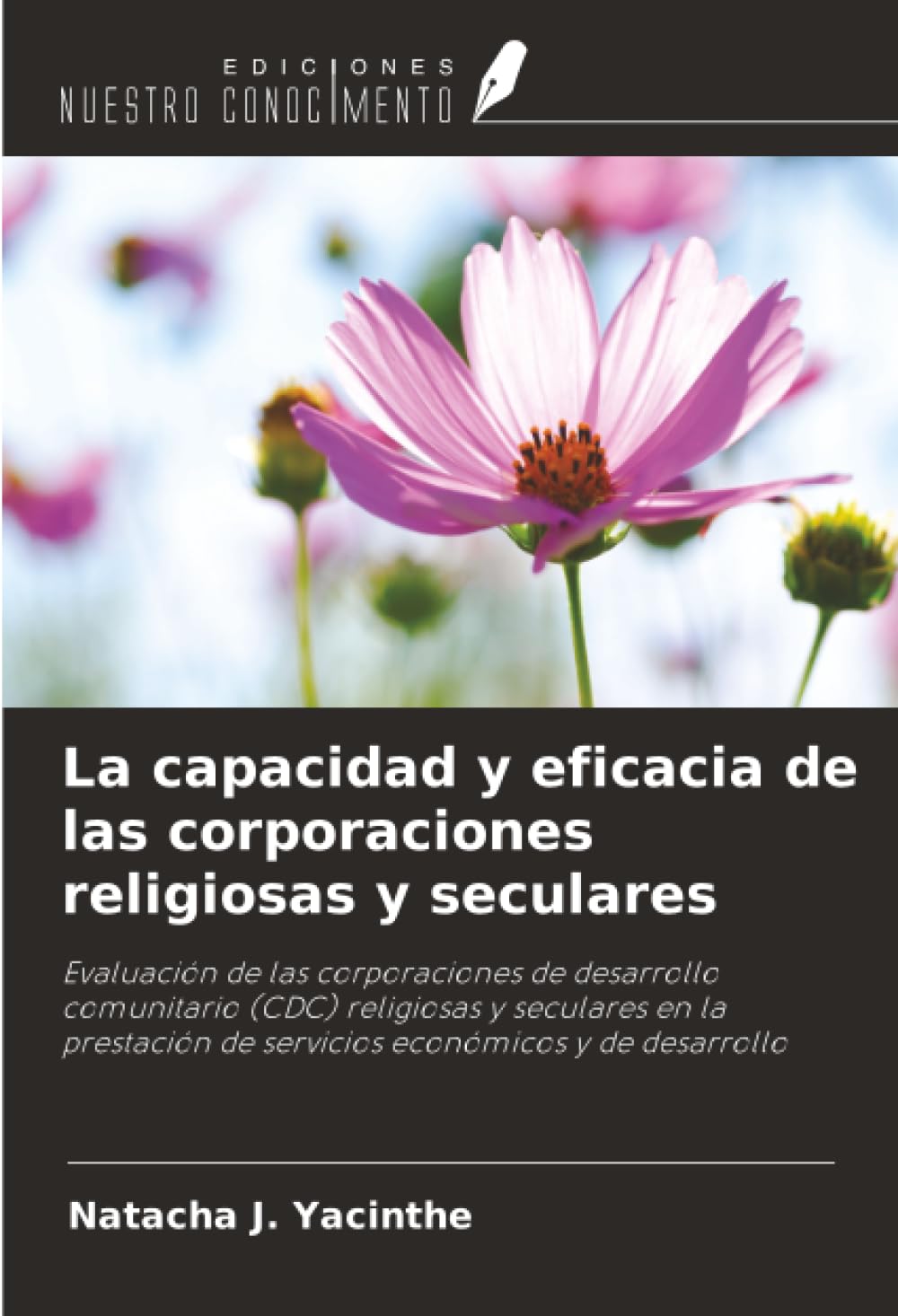 La capacidad y eficacia de las corporaciones religiosas y seculares: Evaluación de las corporaciones de desarrollo comunitario (CDC) religiosas y ... de servicios económicos y de desarrollo