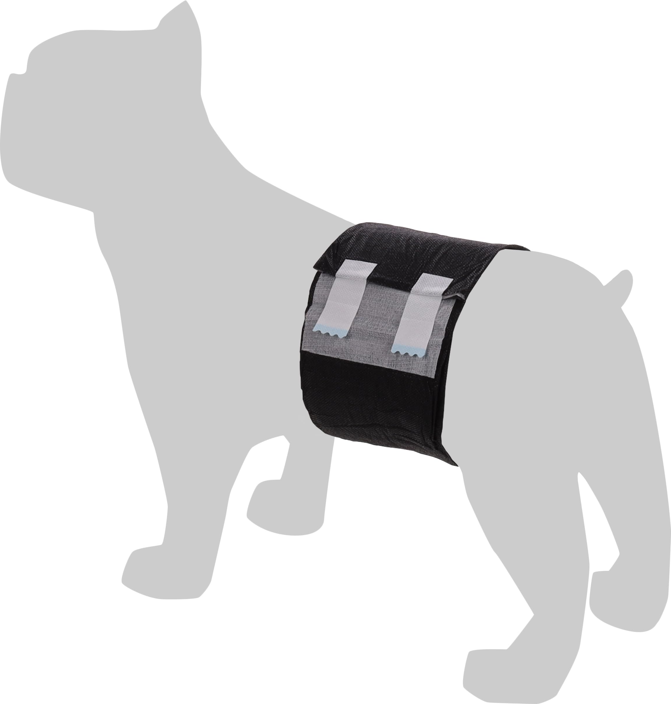 Pañales para Perros Macho M 46-60 cm, 12 Unidades
