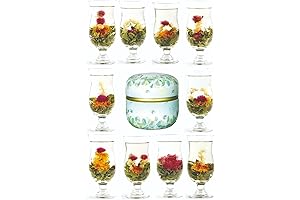 10 Unique Blooming Tea Flower Balls Gift Set for Tea Lovers