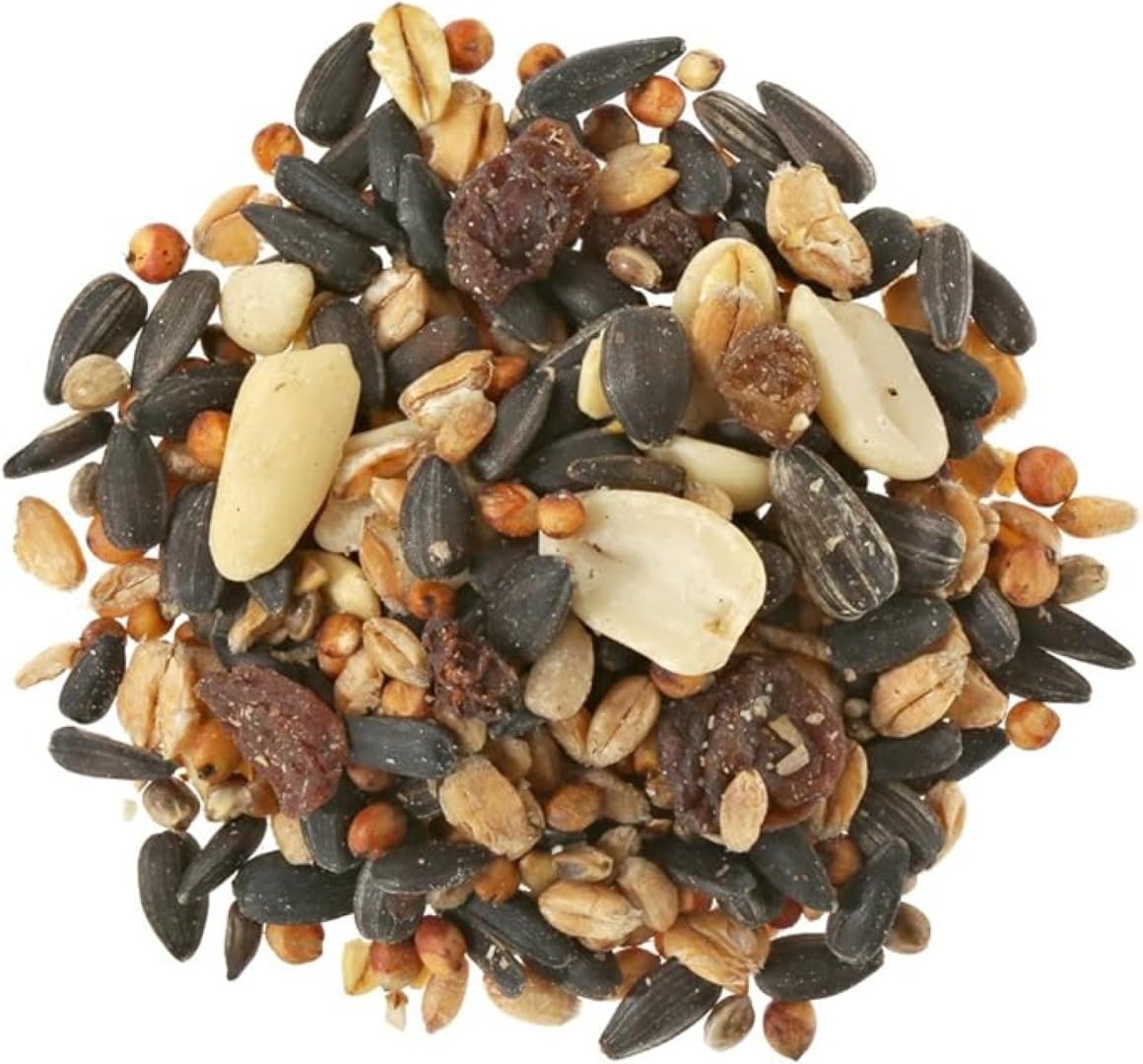 Dehner Natura Wildvogelfutter, Streufutter, 20 kg & Natura Wildvogelfutter, Beeren-Knödel ohne Netz, 100 Stück (10 kg)