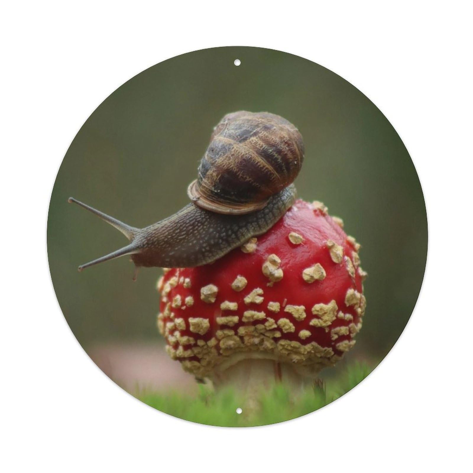 Animal Lonely Snail Metal Tin Sign