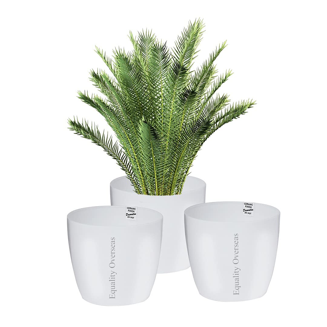 See full amazon price history chart for EQUALITY OVERSEAS 10 inch Plastic Planters Ceramic Finish Flower Plant Pots Modern Decorative Gardening Pot (White Pack of 3) EQUALITY OVERSEAS 10 inch Plastic Planters Ceramic Finish Flower Plant Pots Modern Decorative Gardening Pot (White Pack of 3) (B0975SH564) Amazon Price History, Amazon Price Tracker