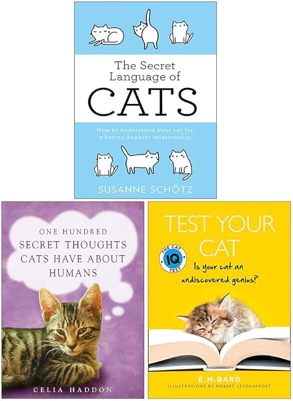 Amazon.co.uk cat test