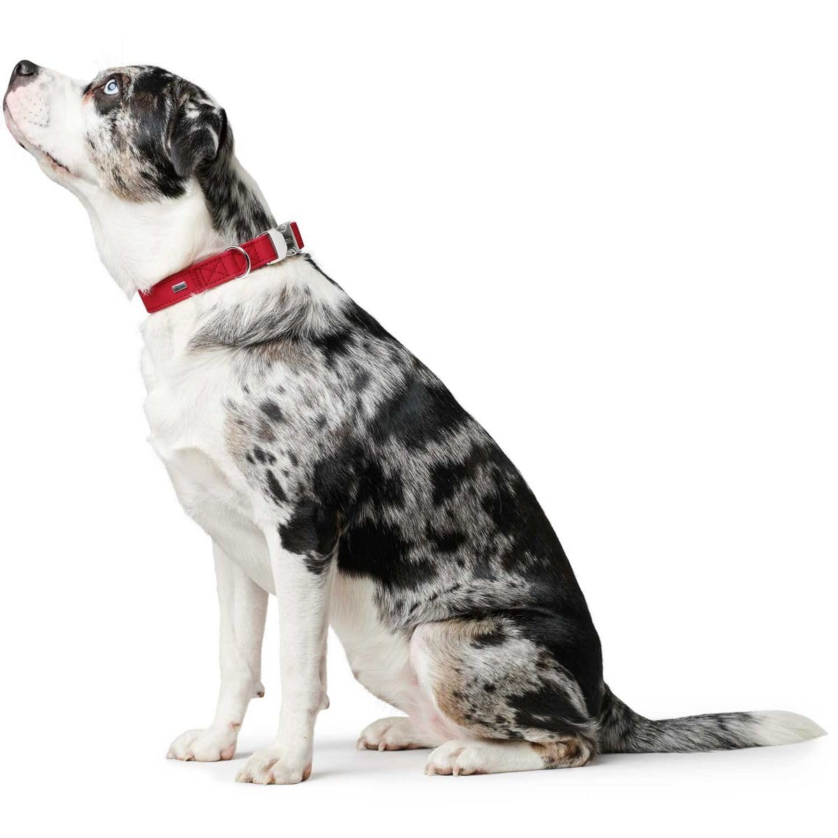 HUNTER Softie ALU-Strong Hundehalsung
