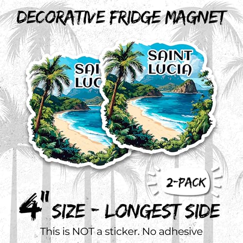 Imán decorativo vinyl 4 pulgadas pack 2 miniatura 2