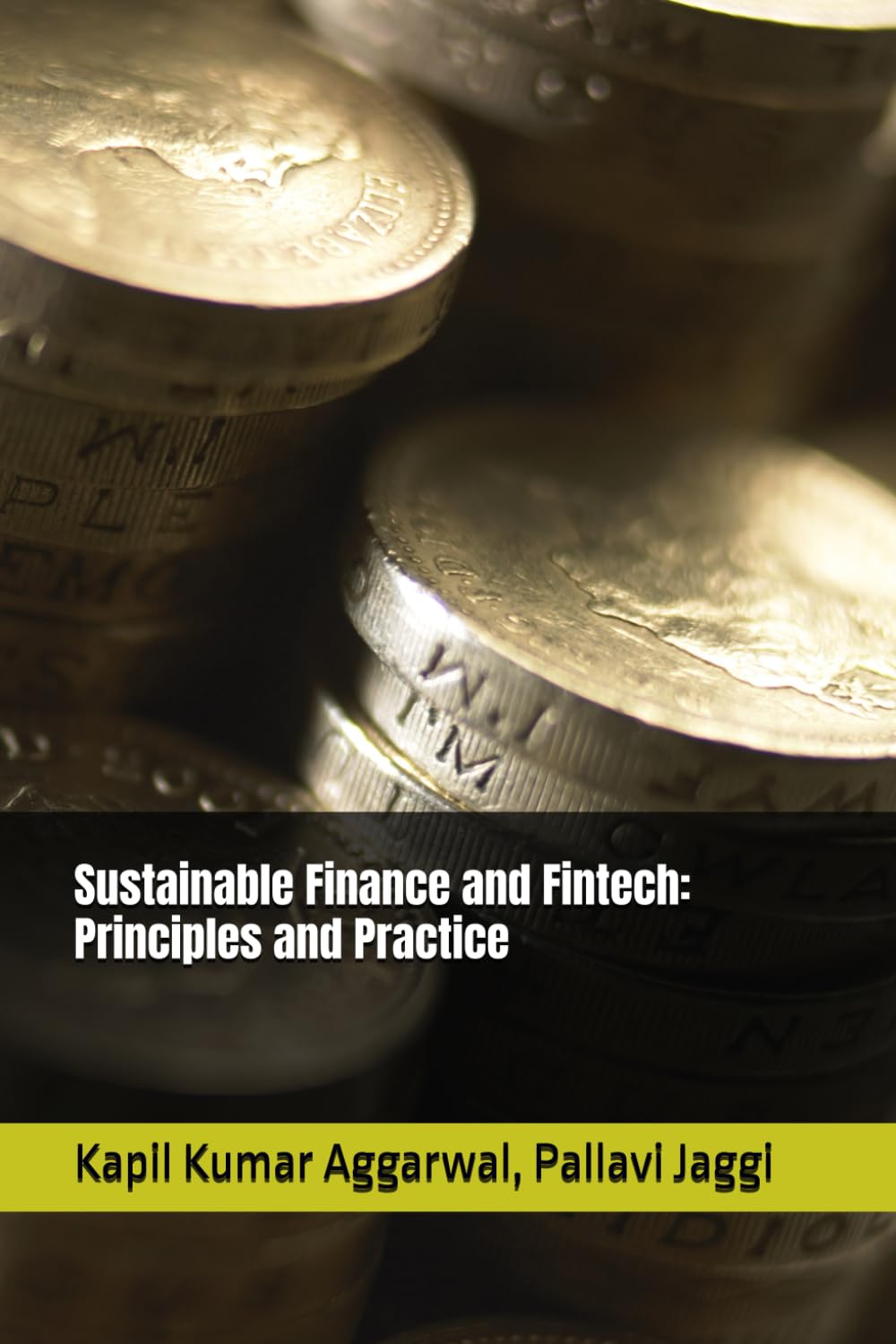 Sustainable Finance and Fintech: Principles and Practice