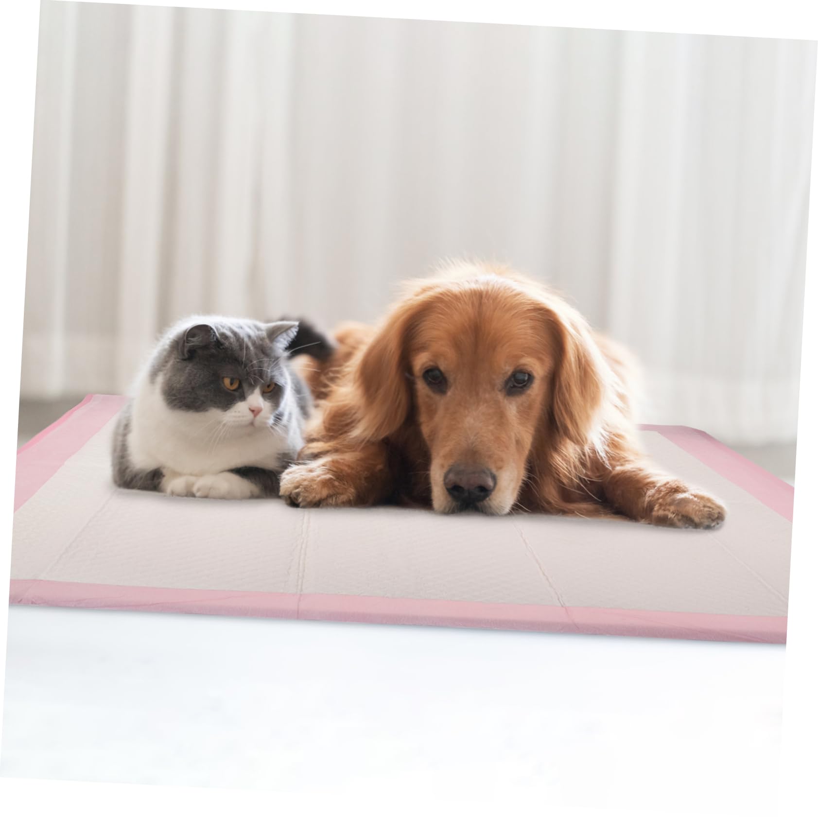 YARNOW Lot de 1 Tapis de Propreté pour Chien, Alèse Ultra-absorbante, Portable, Imperméable, pour L’Apprentissage Propreté et Cage de Petit Animal