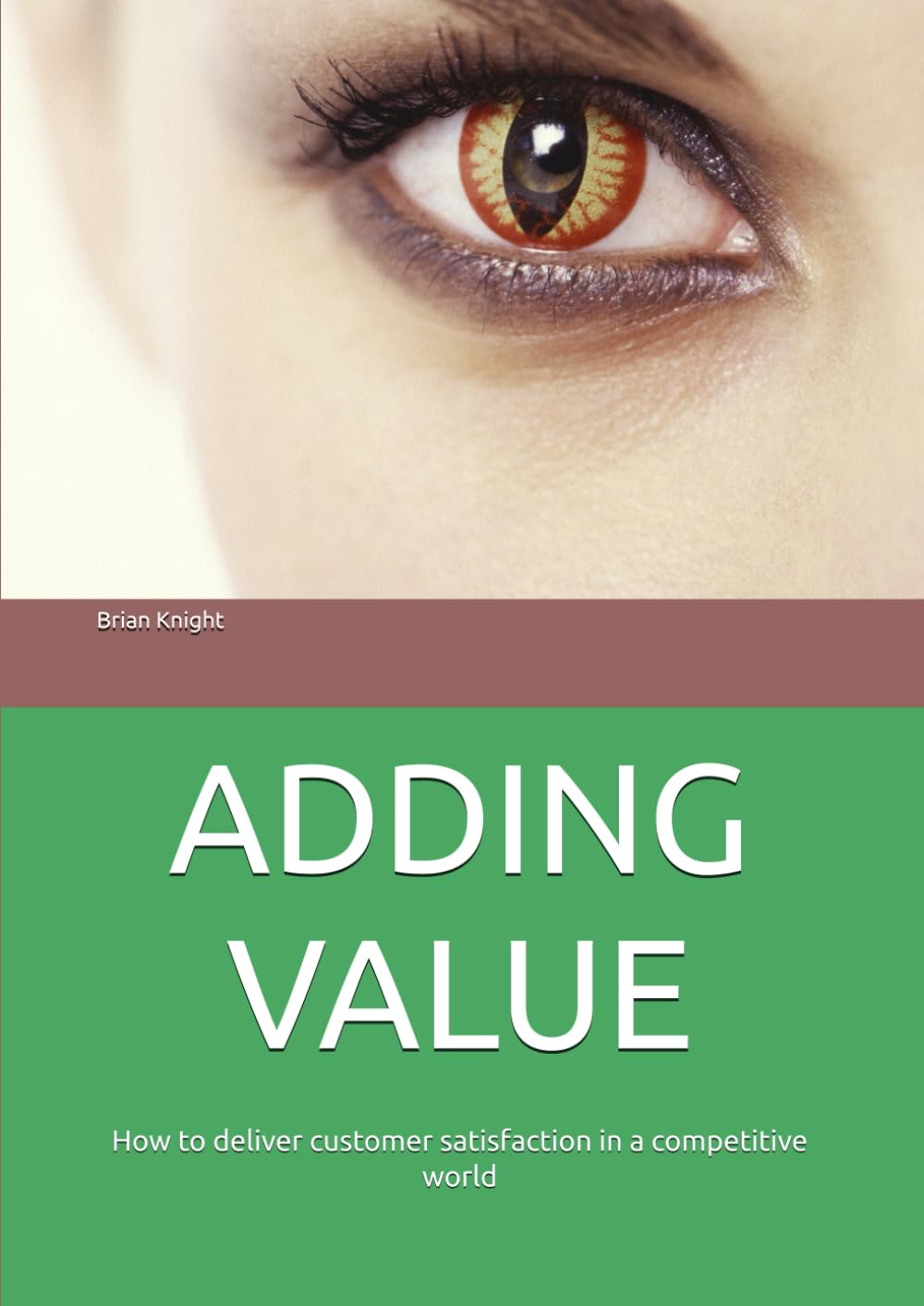 ADDING VALUE: How to deliver customer satisfaction in a competitive world
