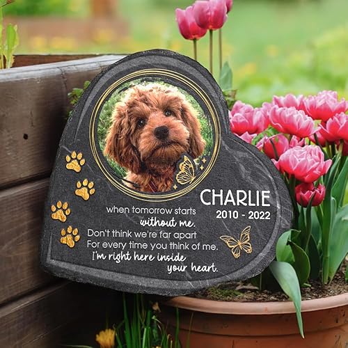 Miniatura 6 de Pawfect House Piedra conmemorativa You were My Favorite Hello Dog, regalos conmemorativos para perros por pérdida de perro, piedras conmemorativas