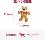 Kong Wild Knots Squeaker Bears for Dogs, Medium/Large, Colors Vary