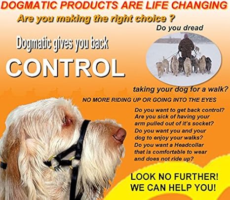 dogmatic headcollar amazon