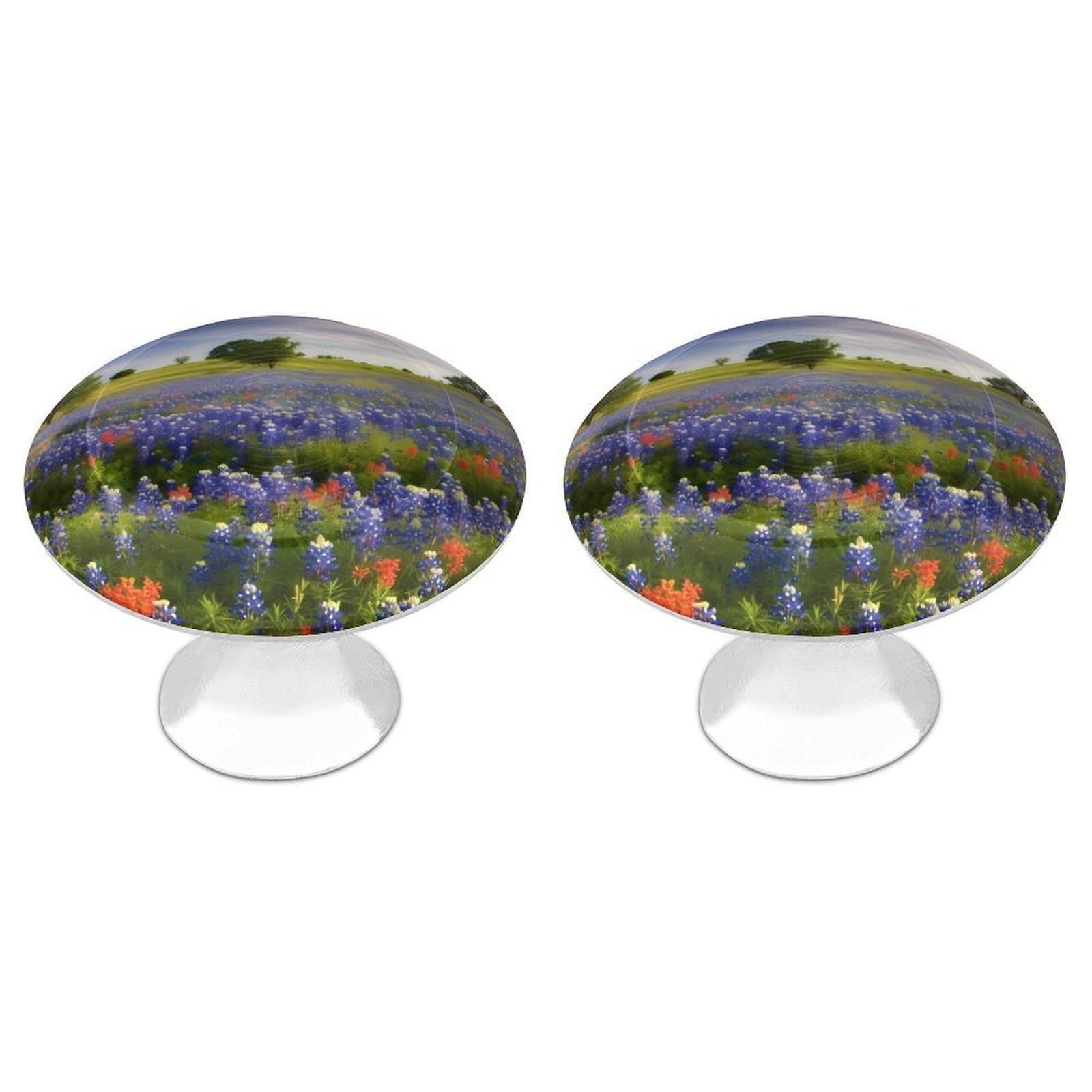RLDOBOFE Texas Bluebonnets Scenery Drawer Handles for Kitchen, Round 2 Pack Dresser Pulls for Bedroom, Stainless Steel Cabinet Pulls for Restaurant, Personalized Drawer Knobs for Cupboard