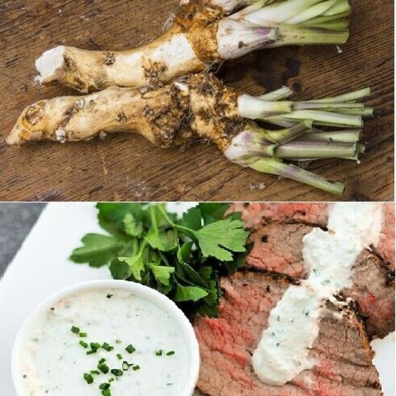 Miniatura 7 de Planta de raíz de corona de rábano picante, coronas de rábano picante para plantar, raíces del tamaño de plantación, sin HI