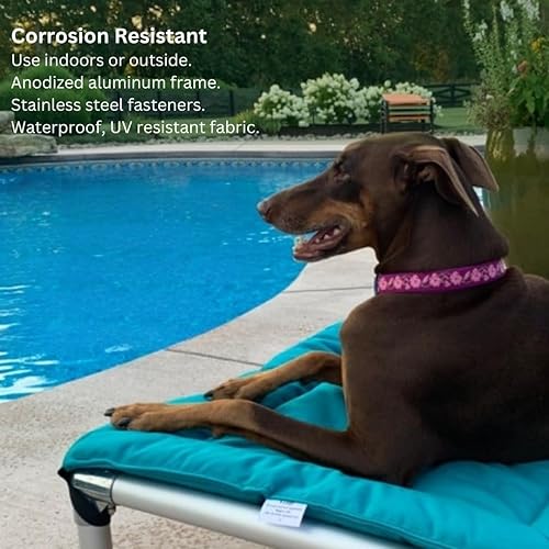 Miniatura 8 de Kuranda Cama Antimasticable - Aluminio Plateado - 35" x 23" - Cordura Nylon - Bosque