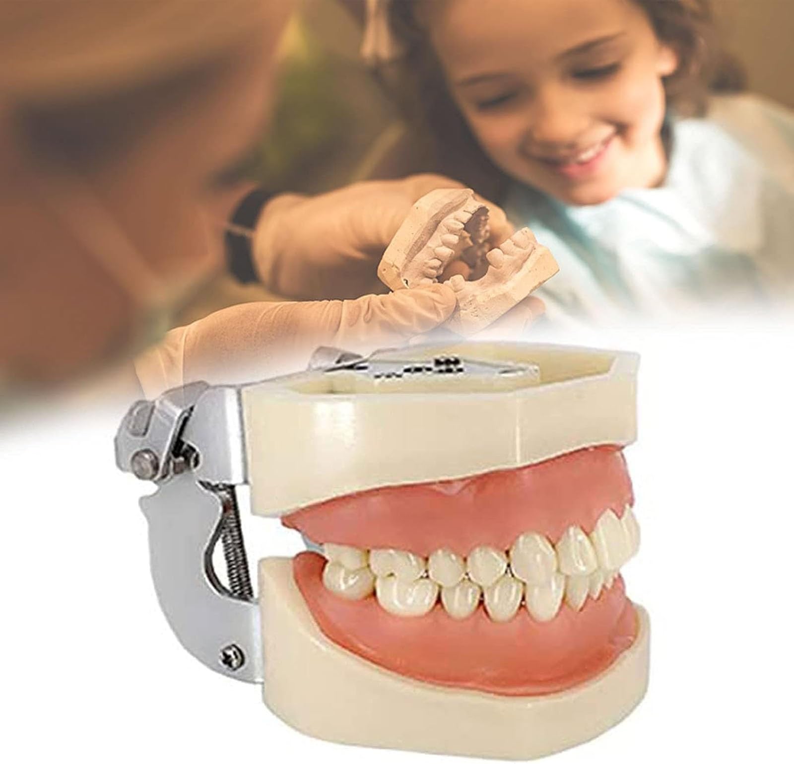 Modelli di corone dentali, modello dimostrativo di denti con impianti dentali, stampo dentale standard per bambini, materiale didattico per lo studio, modello dentale per l'assistenza sanitaria.