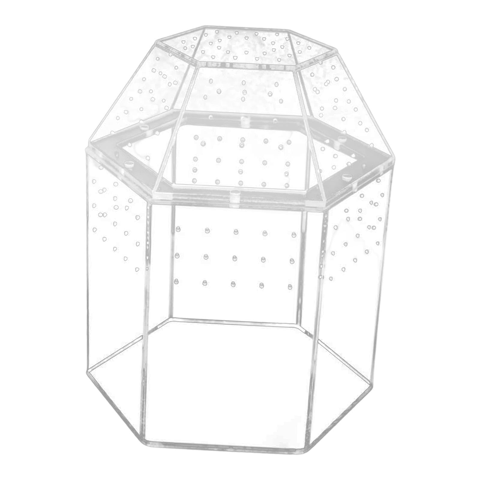 Qianly Terrario para Reptiles con Ventilación para Jaulas de Arañas Saltarinas Y Religiosas.