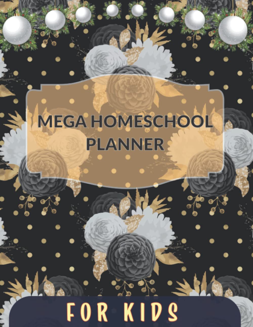 Mega Homeschool Planner: Amazing homeschool lesson planner for kids students and teachers with daily schedule, study plan, note etc. Paperback – 17 December 2021