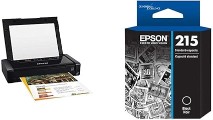 epson 100 printer