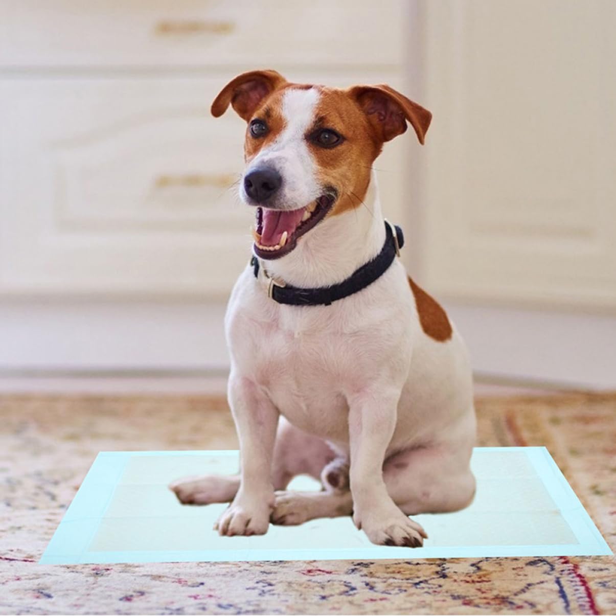 UPKOCH 100piezas Empapadores Desechables para Mascotas Súper Absorbentes para Entrenamiento De Cachorros para Interiores y Exteriores para Perros y Gatos Pequeños