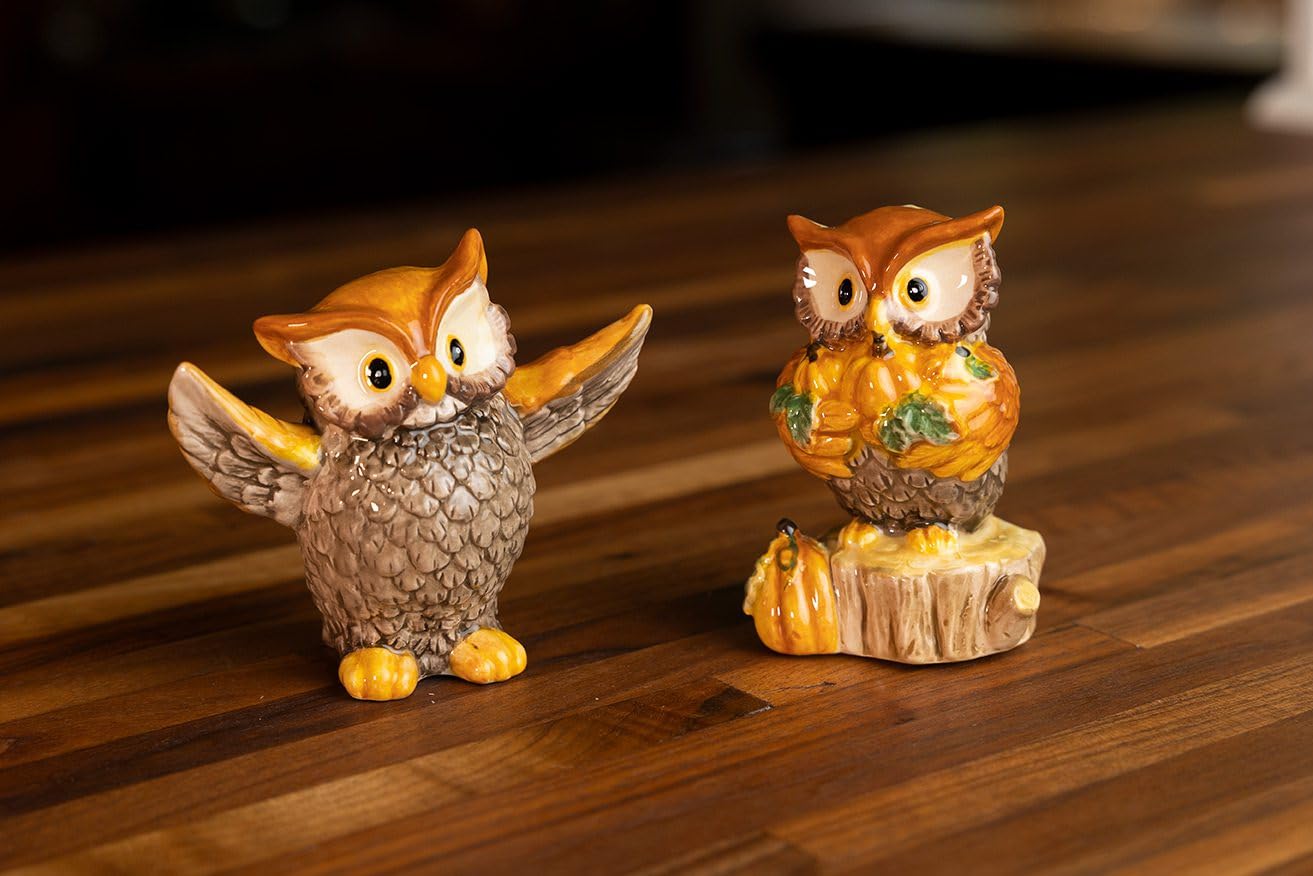 Amazon.com: Blue Sky Clayworks Holiday Owl Salt and Pepper Set