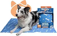 Tapete Pet Gelado 90x60cm Refrescante Para Cachorros E Gatos Superfície Térmica Portátil Tapete Fresco Para Verão Resfriamento E Conforto Dobrável