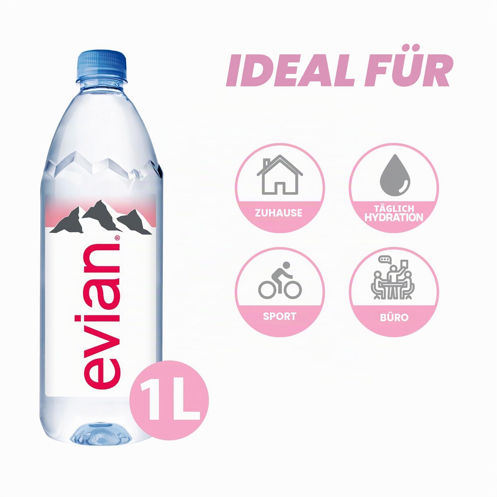 evian Flaches Wasser, 12 x 1 l