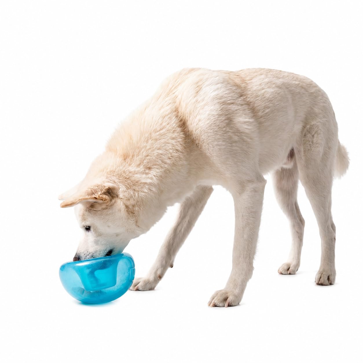 Planet Dog Orbee-Tuff Snoop Interactive Puzzle Dog Toy, Blue