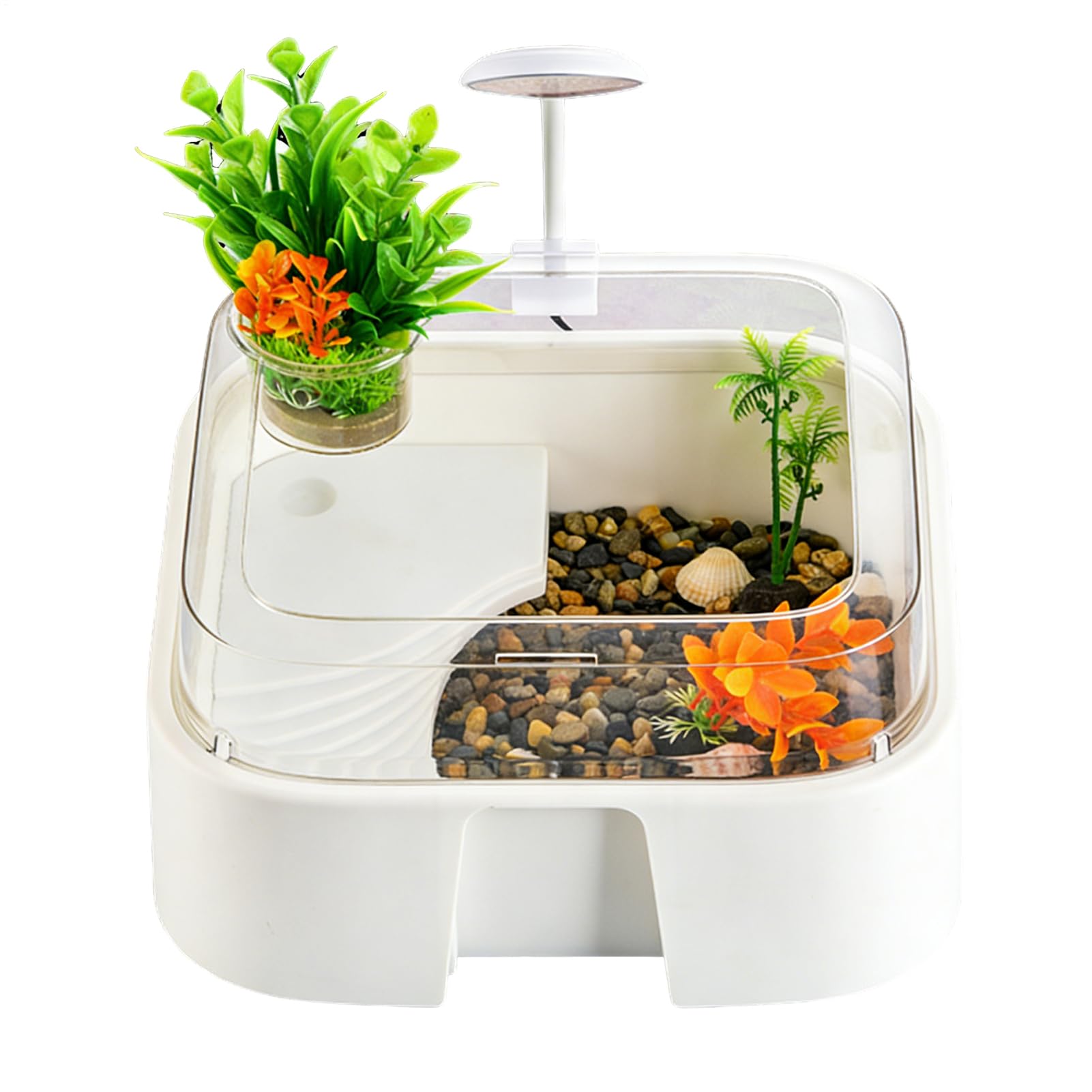 Acquario per tartarughe con decorazione e a prova di | Set completo per acquario per rettili, tartarughe, gamberetti, gechi, criceti, rane, serpenti, ragni, scrivania, balcone